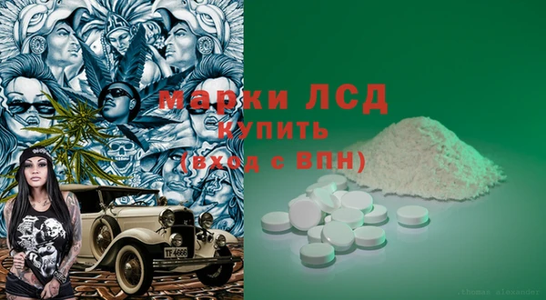 ECSTASY Каменка