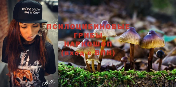 мяу мяу мука Каменногорск