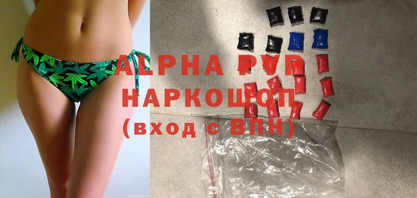 ECSTASY Каменка