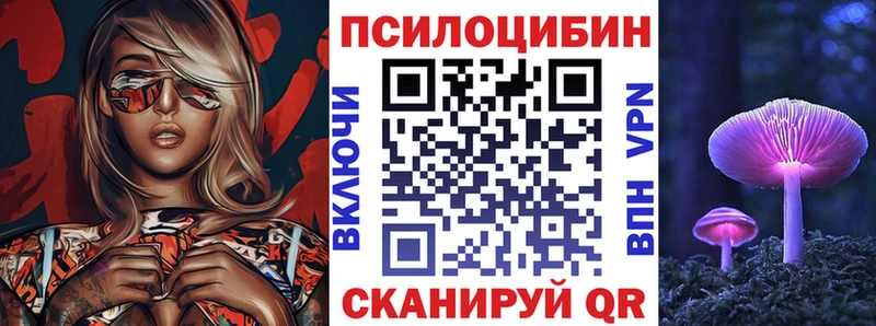 Галлюциногенные грибы Psilocybe  Купить  Воткинск 